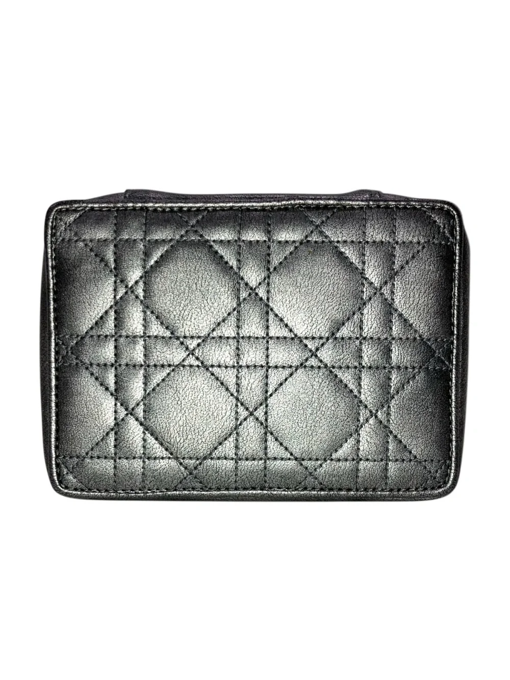 Dior christian vip